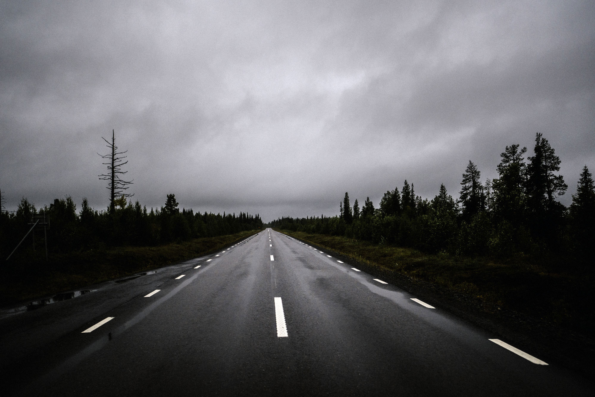 Här, längst E10:an mot Gällivare, har LKAB fått tillstånd att dundra fram med 80 malmtransporter per dygn. Foto: David Lundmark